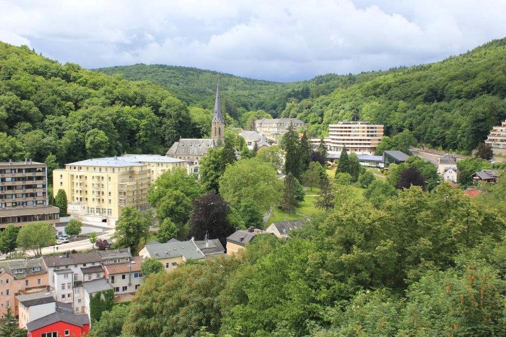 Hotel Ricarda Schlangenbad Exterior photo